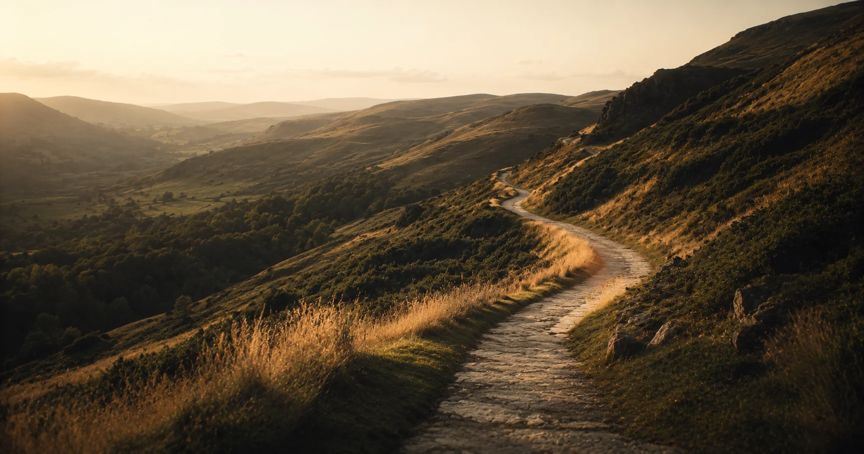 A long winding path across a hillside, viewed from above, late afternoon shadows defining the contours of the land